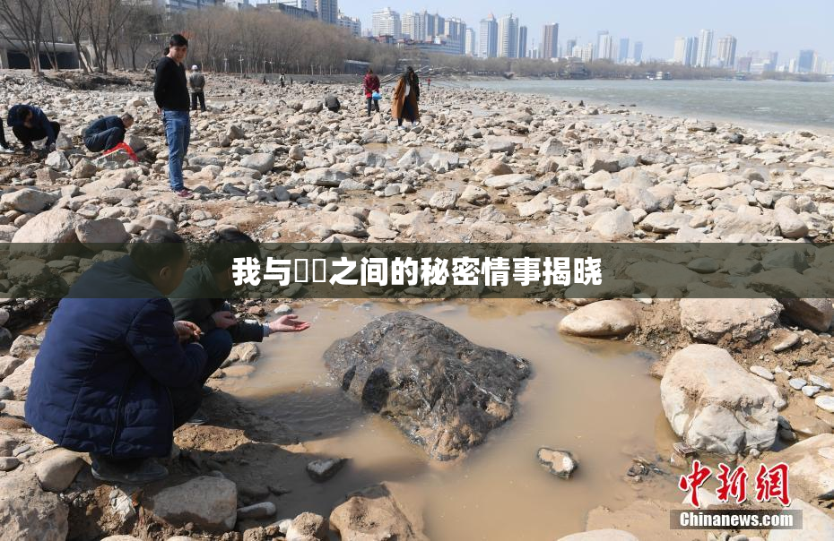 我与妺妺之间的秘密情事揭晓