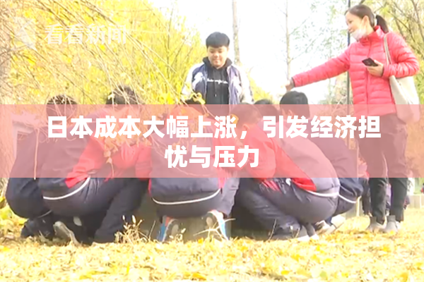 日本成本大幅上涨，引发经济担忧与压力