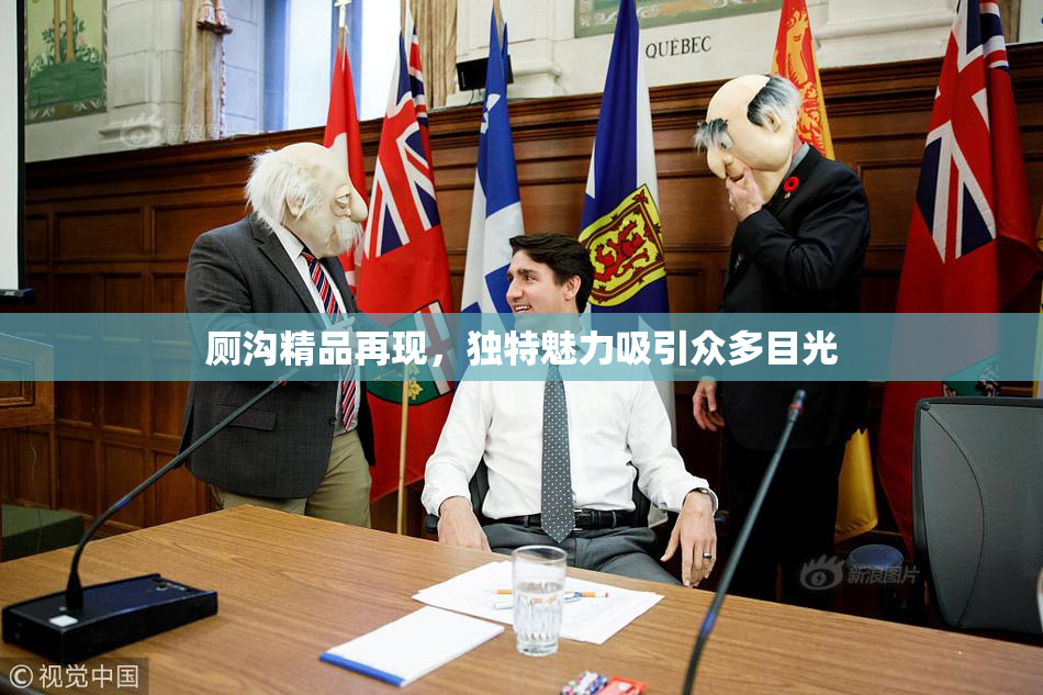 厕沟精品再现，独特魅力吸引众多目光
