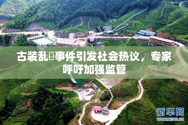 古装乱婬事件引发社会热议，专家呼吁加强监管