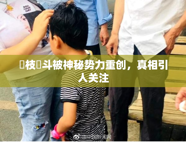 狛枝凪斗被神秘势力重创，真相引人关注