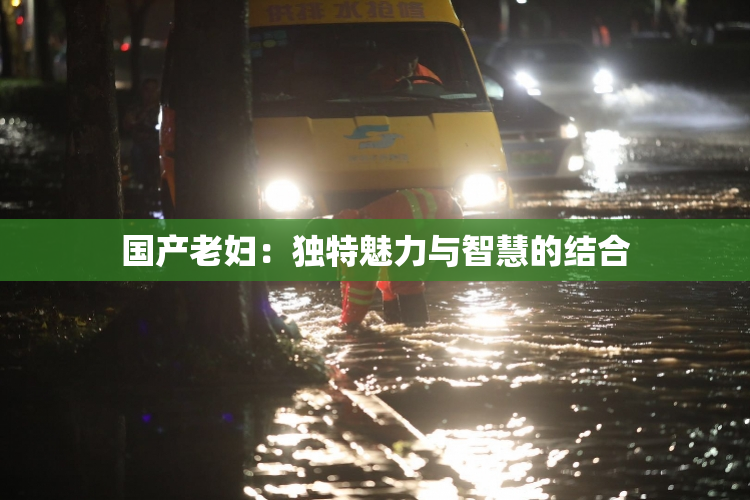 国产老妇：独特魅力与智慧的结合