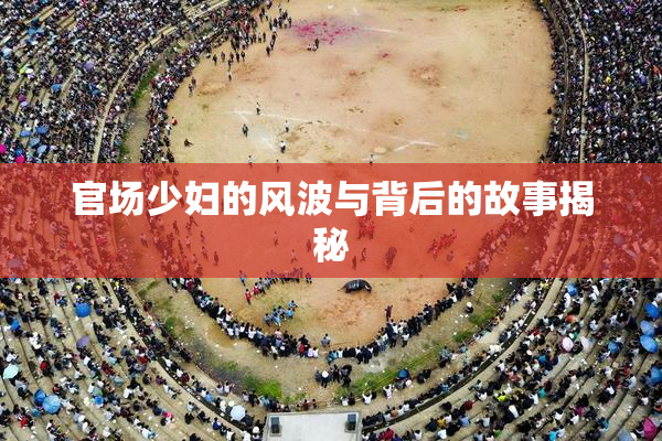 官场少妇的风波与背后的故事揭秘