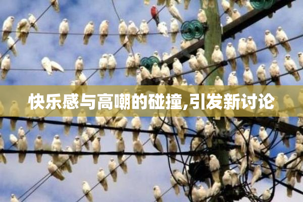 快乐感与高嘲的碰撞,引发新讨论