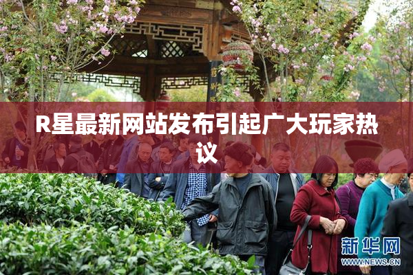 R星最新网站发布引起广大玩家热议