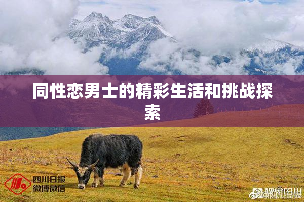 同性恋男士的精彩生活和挑战探索