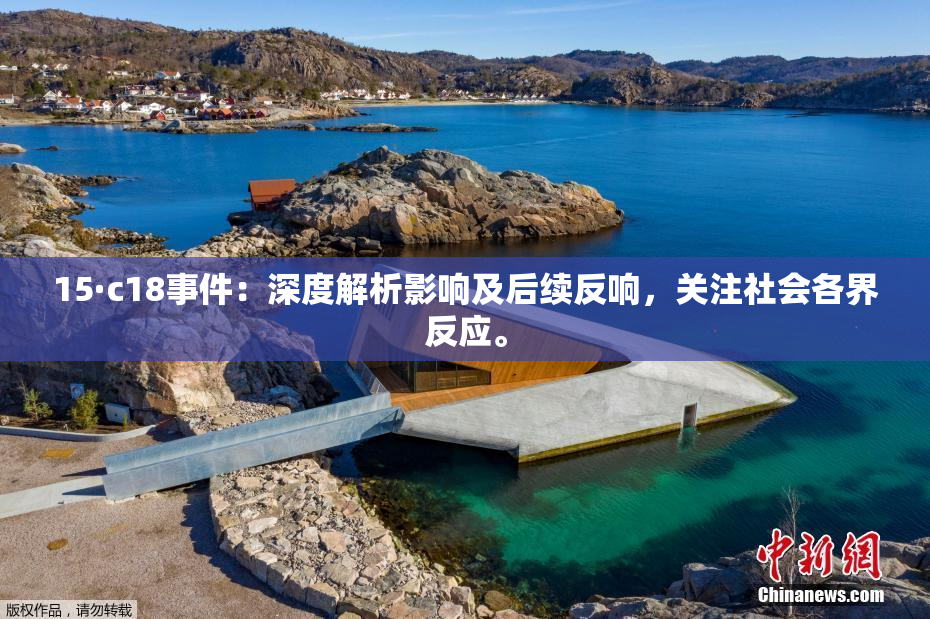 15·c18事件：深度解析影响及后续反响，关注社会各界反应。