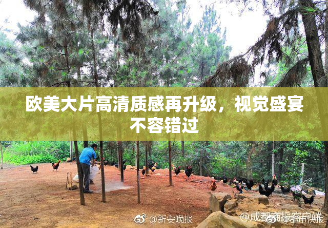欧美大片高清质感再升级，视觉盛宴不容错过