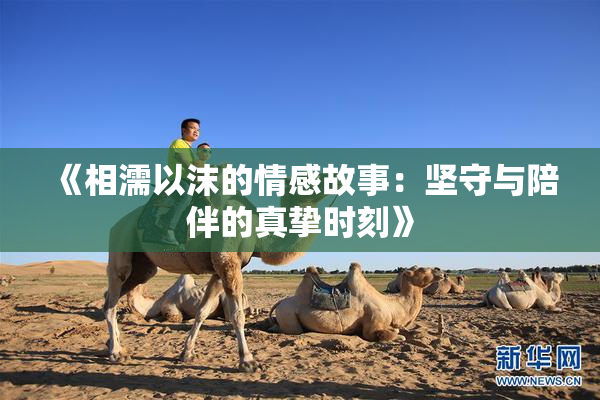 《相濡以沫的情感故事：坚守与陪伴的真挚时刻》