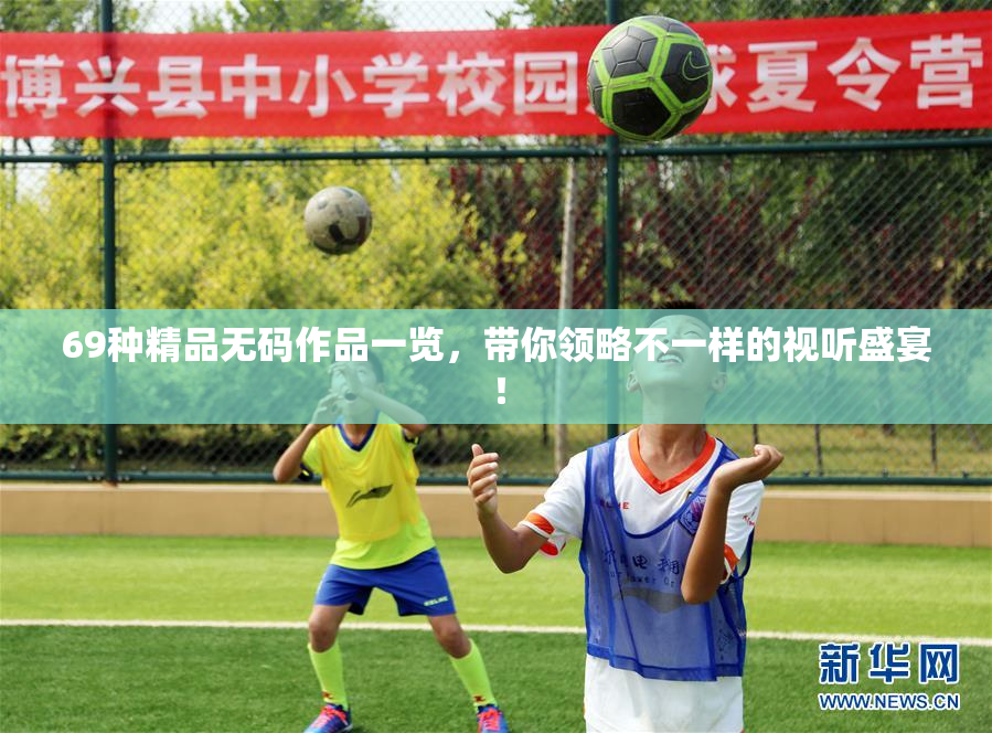 69种精品无码作品一览，带你领略不一样的视听盛宴！