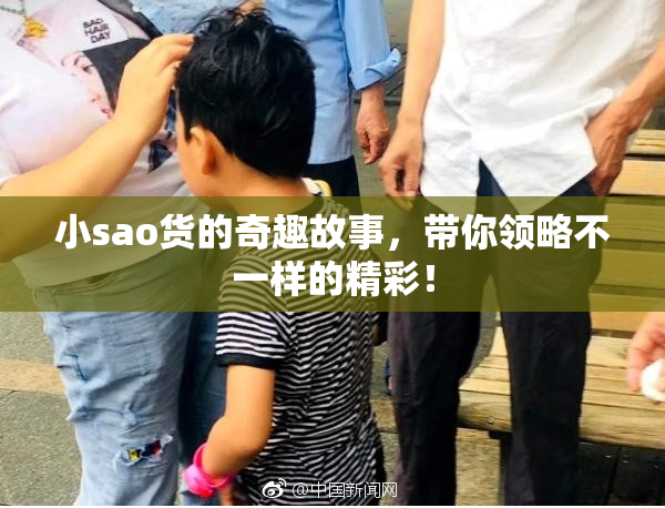 小sao货的奇趣故事，带你领略不一样的精彩！