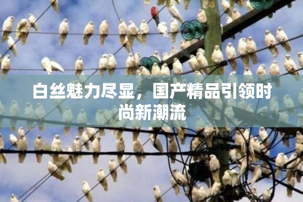 白丝魅力尽显，国产精品引领时尚新潮流