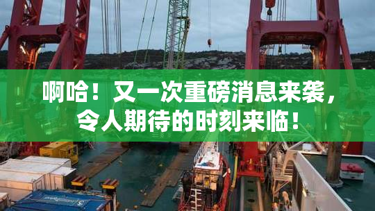 啊哈！又一次重磅消息来袭，令人期待的时刻来临！