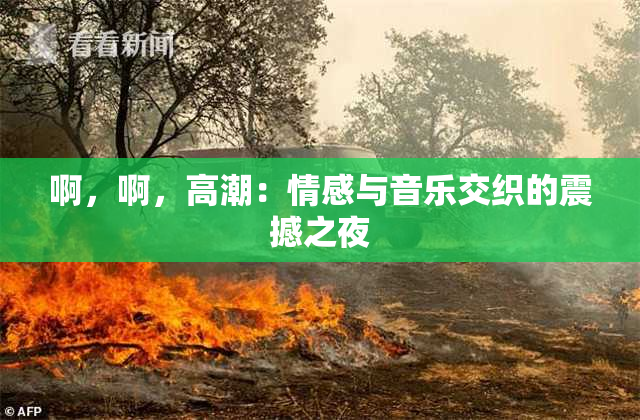 啊，啊，高潮：情感与音乐交织的震撼之夜