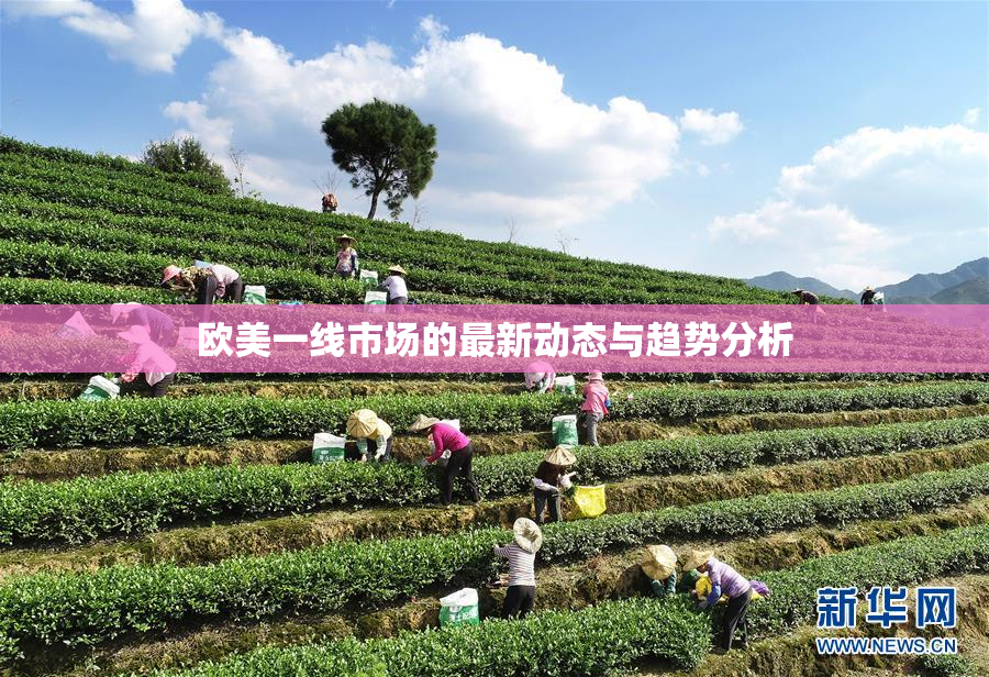 欧美一线市场的最新动态与趋势分析