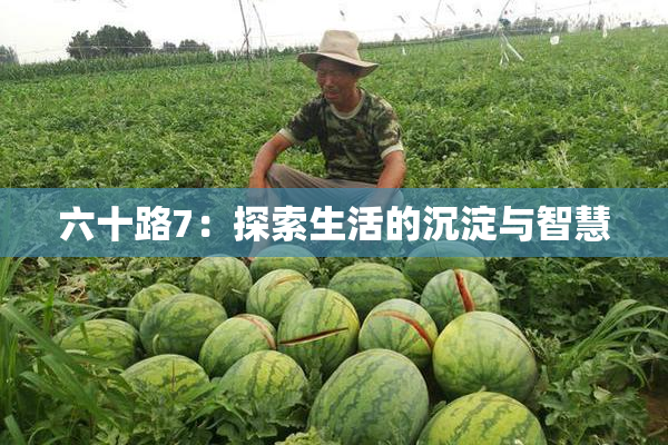 六十路7：探索生活的沉淀与智慧