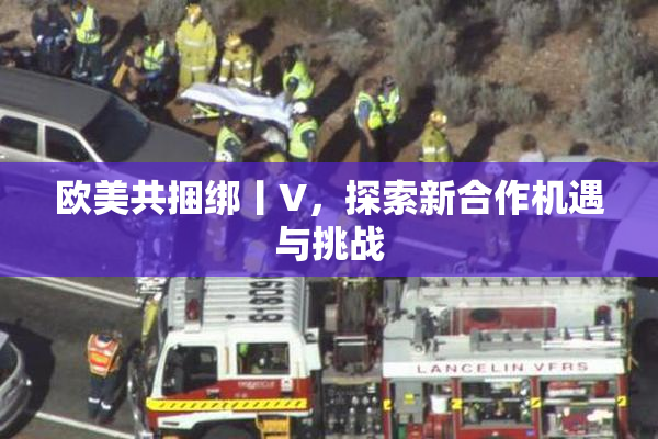 欧美共捆绑丨V，探索新合作机遇与挑战
