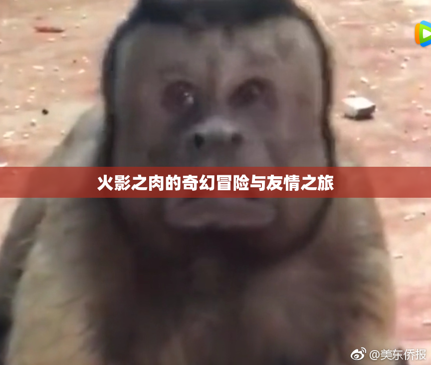 火影之肉的奇幻冒险与友情之旅