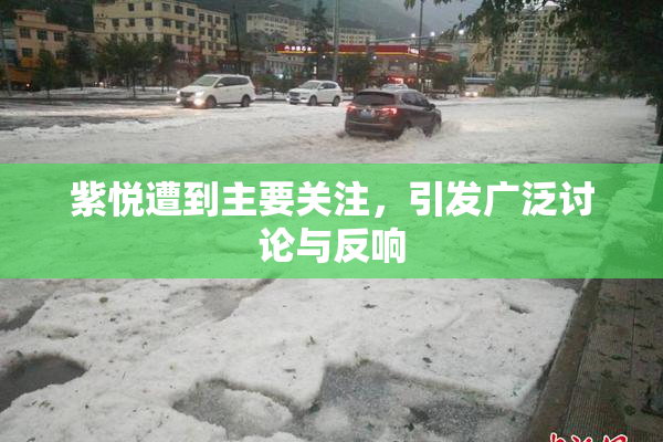 紫悦遭到主要关注，引发广泛讨论与反响