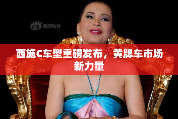 西施C车型重磅发布，黄牌车市场新力量