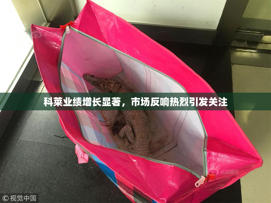 科莱业绩增长显著，市场反响热烈引发关注