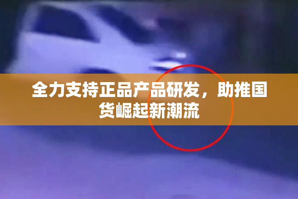 全力支持正品产品研发，助推国货崛起新潮流