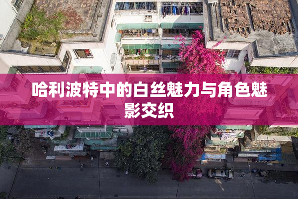 哈利波特中的白丝魅力与角色魅影交织