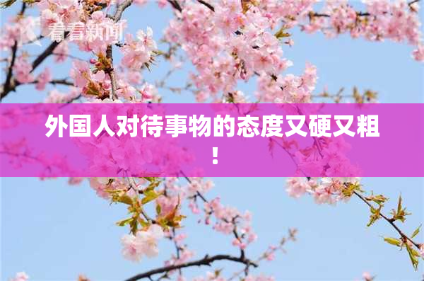 外国人对待事物的态度又硬又粗！