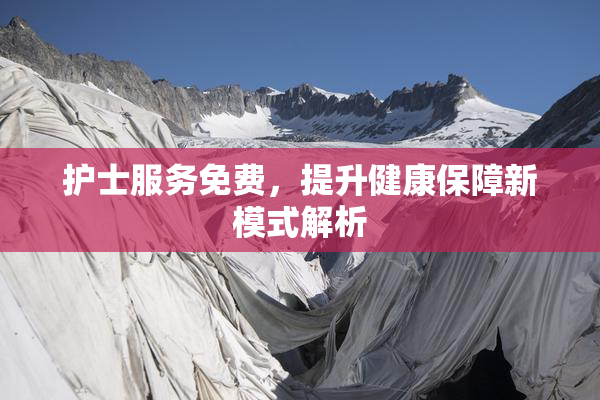 护士服务免费，提升健康保障新模式解析