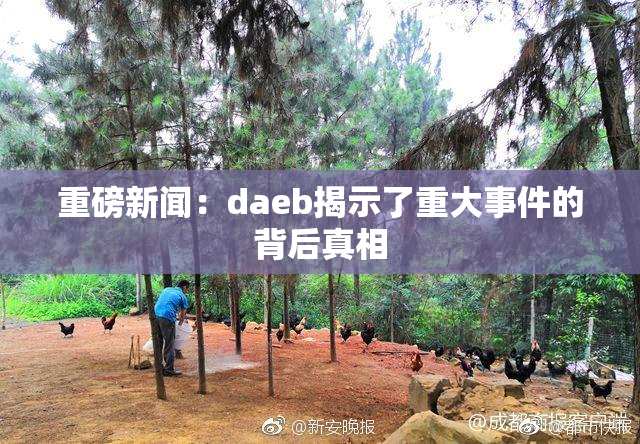 重磅新闻：daeb揭示了重大事件的背后真相