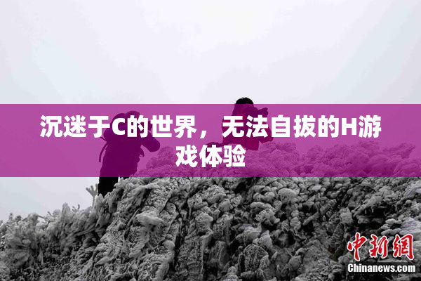 沉迷于C的世界，无法自拔的H游戏体验