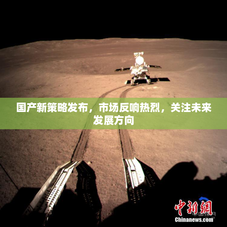 国产新策略发布，市场反响热烈，关注未来发展方向