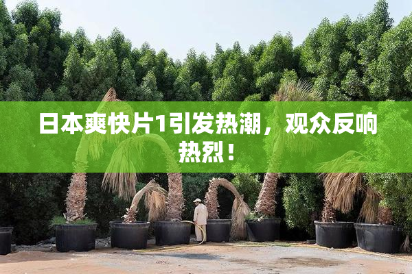日本爽快片1引发热潮，观众反响热烈！