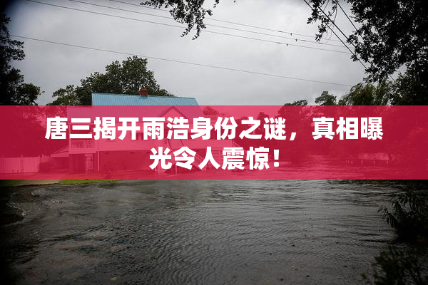 唐三揭开雨浩身份之谜，真相曝光令人震惊！