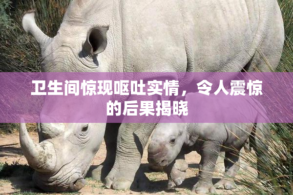 卫生间惊现呕吐实情，令人震惊的后果揭晓