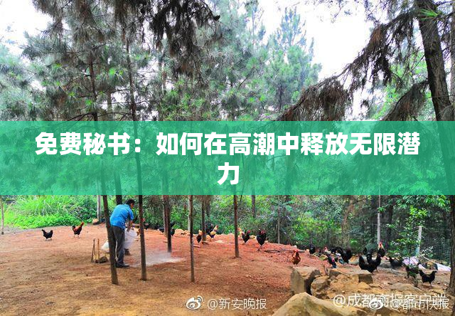 免费秘书：如何在高潮中释放无限潜力