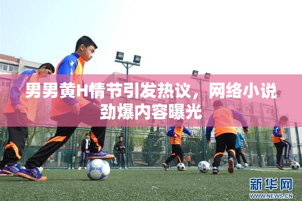 男男黄H情节引发热议，网络小说劲爆内容曝光
