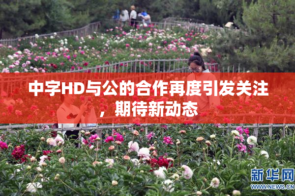中字HD与公的合作再度引发关注，期待新动态
