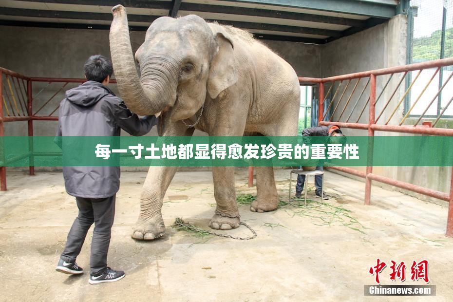每一寸土地都显得愈发珍贵的重要性
