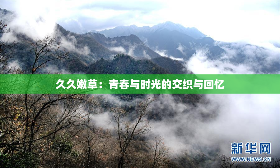 久久嫩草：青春与时光的交织与回忆