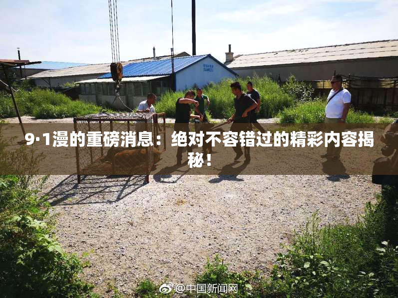 9·1漫的重磅消息：绝对不容错过的精彩内容揭秘！