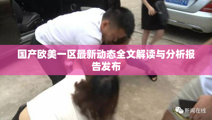 国产欧美一区最新动态全文解读与分析报告发布