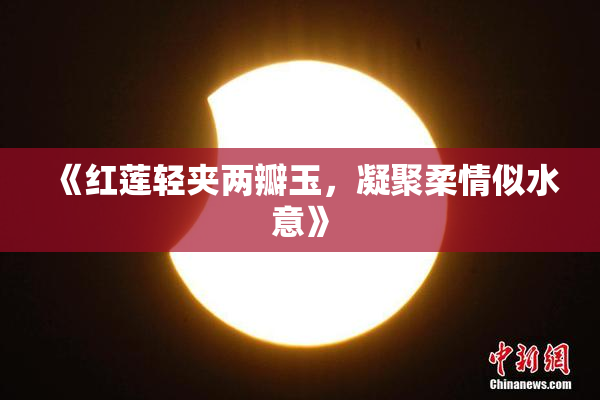 《红莲轻夹两瓣玉，凝聚柔情似水意》
