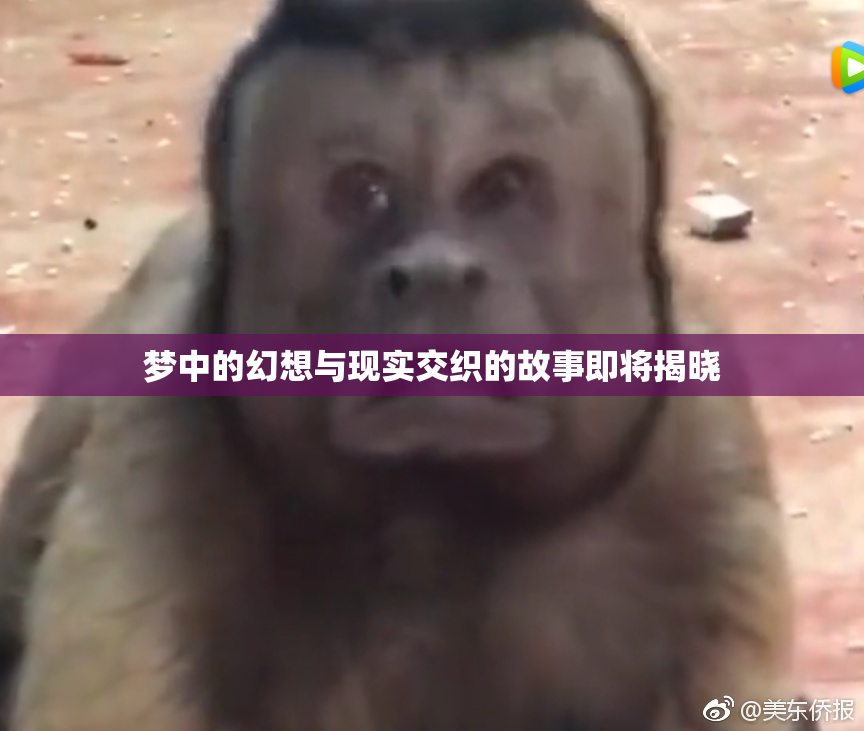 梦中的幻想与现实交织的故事即将揭晓