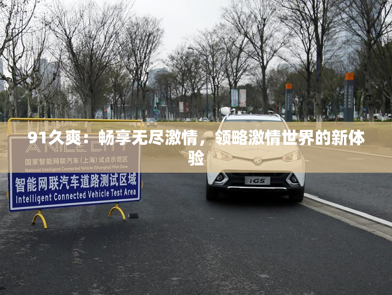 91久爽：畅享无尽激情，领略激情世界的新体验
