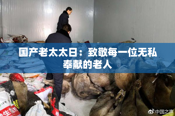 国产老太太日：致敬每一位无私奉献的老人