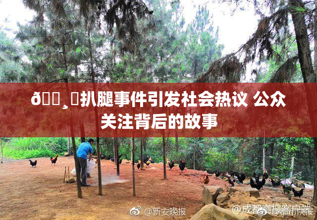 🌸‌扒腿事件引发社会热议 公众关注背后的故事