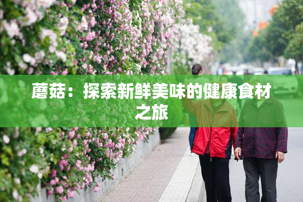 蘑菇：探索新鲜美味的健康食材之旅