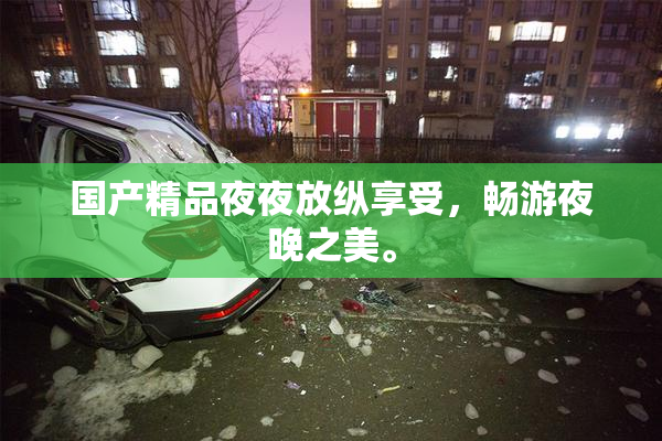 国产精品夜夜放纵享受，畅游夜晚之美。