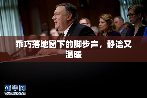 乖巧落地窗下的脚步声，静谧又温暖